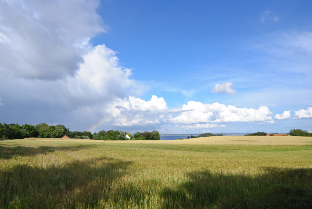 Udsigten fra Salling Camping ved Limfjorden