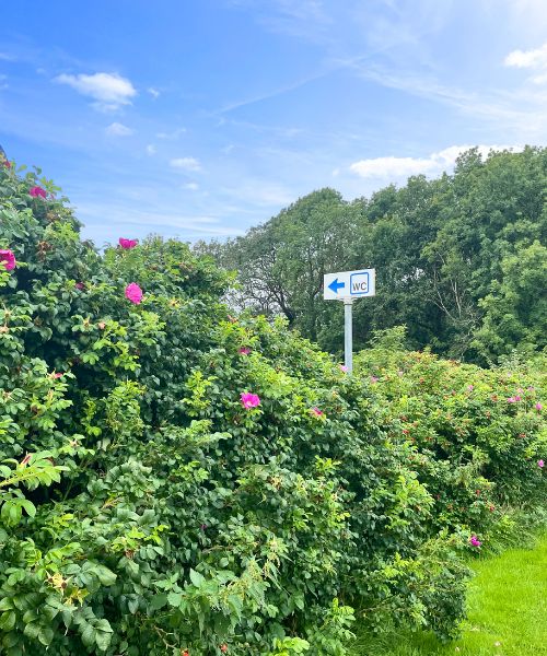 Toiletfaciliteter ved Junget Strand