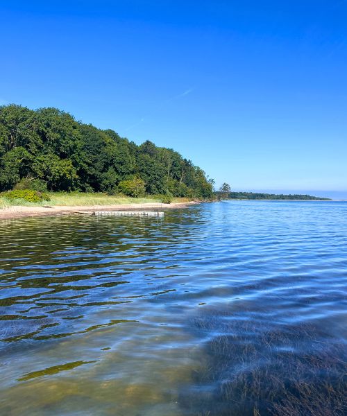 Stranden ved Junget 